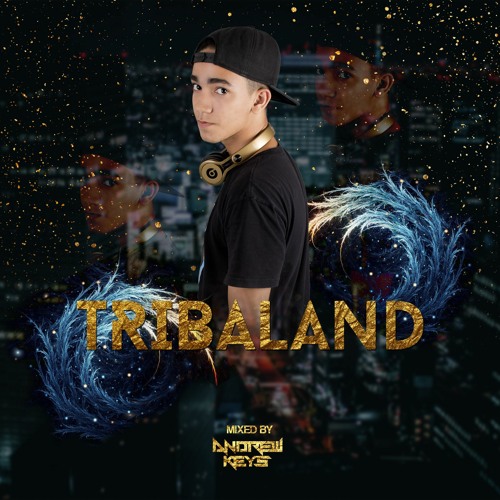 TRIBALAND LIVE SESSIONS 001 - BY ANDREW KEYS