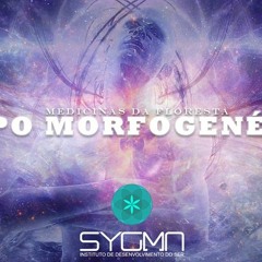 Rafael Moreno - Campo Morfogenético