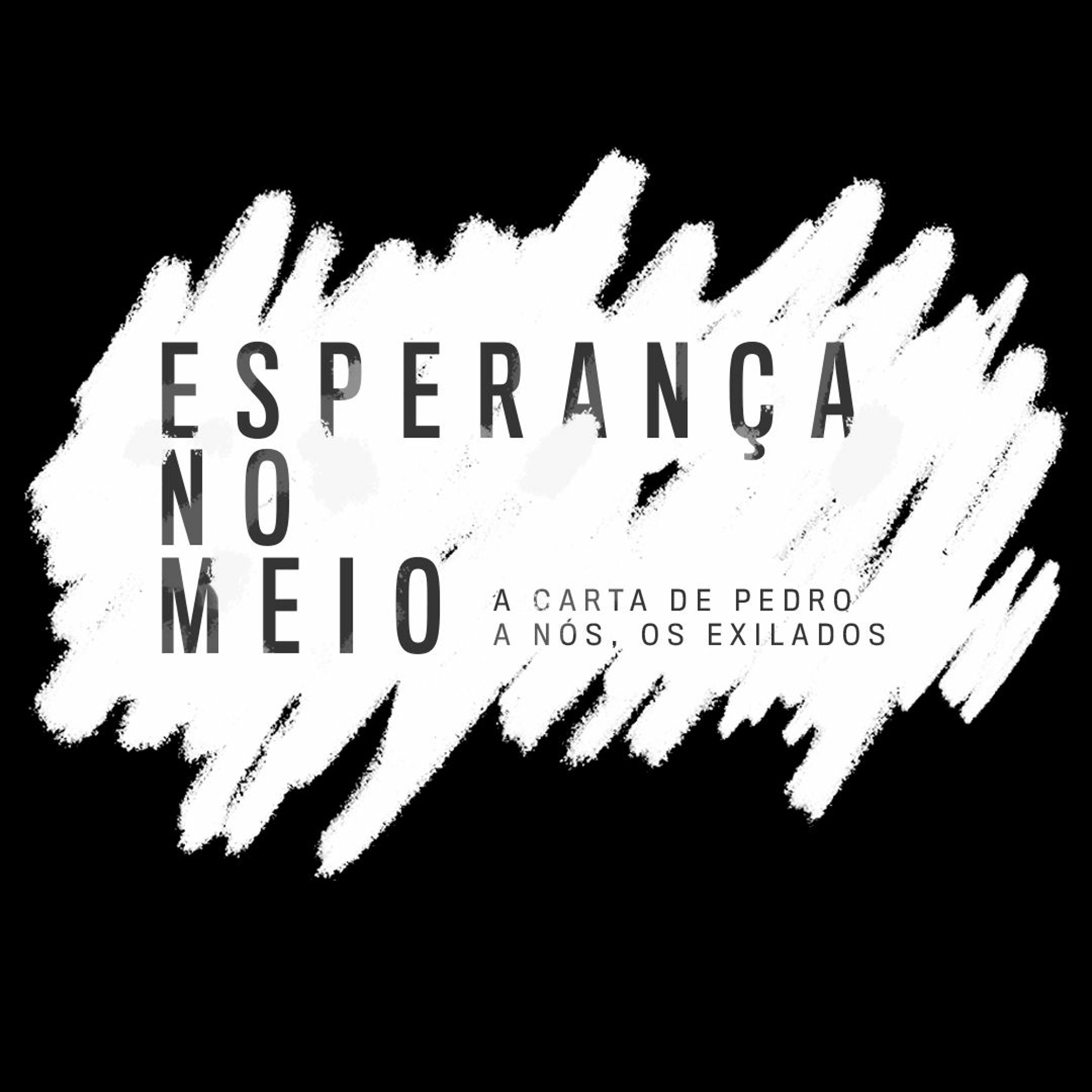 11.11.18 - ESPERANÇA NO MEIO - PEDRAS, RAÍZES E FRUTOS episode artwork