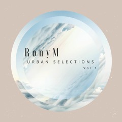 Stolen Junk (Urban Mix)