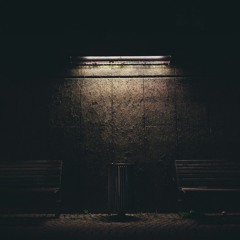 Night