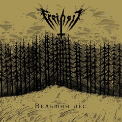 The Witch's Forest
