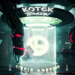 Kotek & Temujin - Liquid Answers