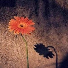 Altas Vibraciones - SUPERSOLO (Mahamrityunjaya Mantra)