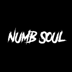 Numb Soul (Prod.Trillobeatz & IllWillBeatz)
