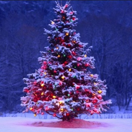 VO2018_ChristmasDescent_AlexWallace_Christmas
