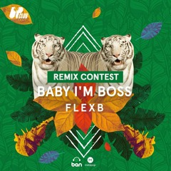 FlexB - Baby I'm Boss (JuniorȻruz Remix)[Click "Buy" For Download]