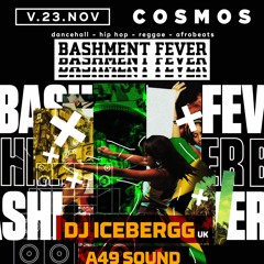 BASHMENT FEVER VOL.4