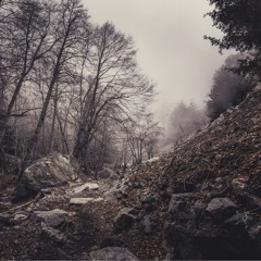 no, i'm not afraid to die!