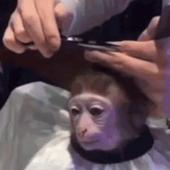 Bokyo Drip - Lil Ching