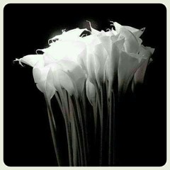 Deejay_Virus_SoulKiD_-_Music_In_Me(Original_Mix).mp3