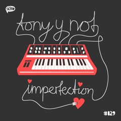 TAECH029 - Tony y Not - Imperfection