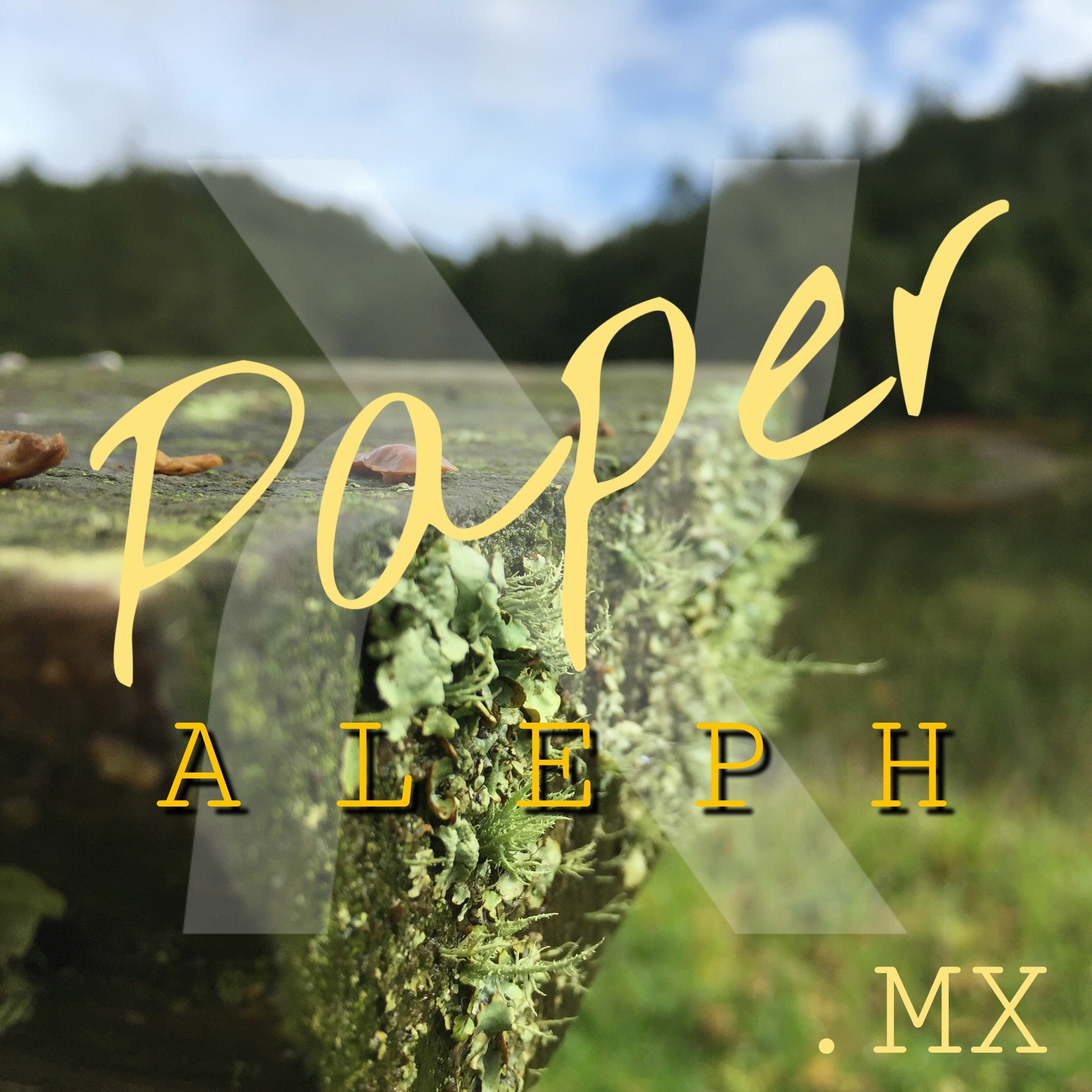 PAPER ALEPH. DE ALAS Y EL TIEMPO FIEL.