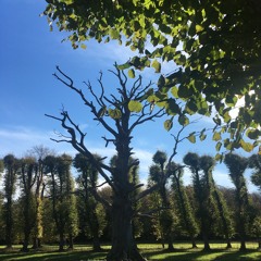 Shimmering Moods @ Resonance Extra #26