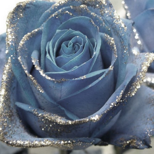 Try Me - Rap beat | Prod. Zigrass Beats