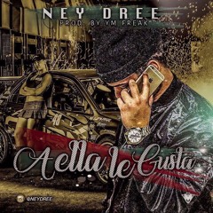 A Ella Le Gusta (Prod. By YM Freak)