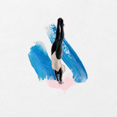 hip hop/lo-fi