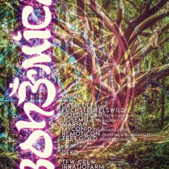 DJ Set