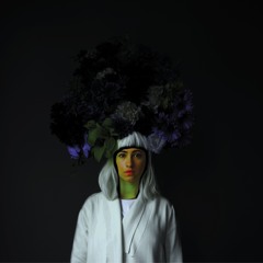 Hybrid Dimension I. - Exotic Expeditions