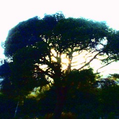 STONEHUNTER -live2 LONG