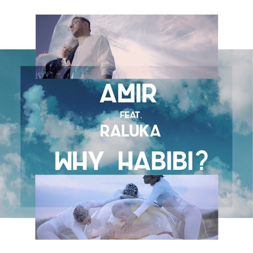 Amir Feat. Raluka  - Why Habibi (Vally V. Edit)