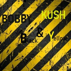 Bobby Kush - B&Y (FREEDOWNLOAD)