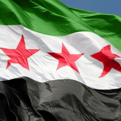 ارفع يديك عن العلم #الثورة_السورية