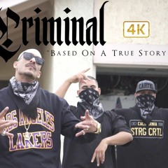 Mr Criminal Based On A True Story