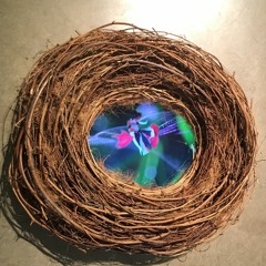 Nest