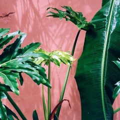 Matthew Gilbert Poem - Drugs Come From Your Family