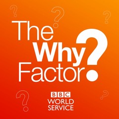 Lupa no The Why Factor