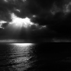 Dark Water