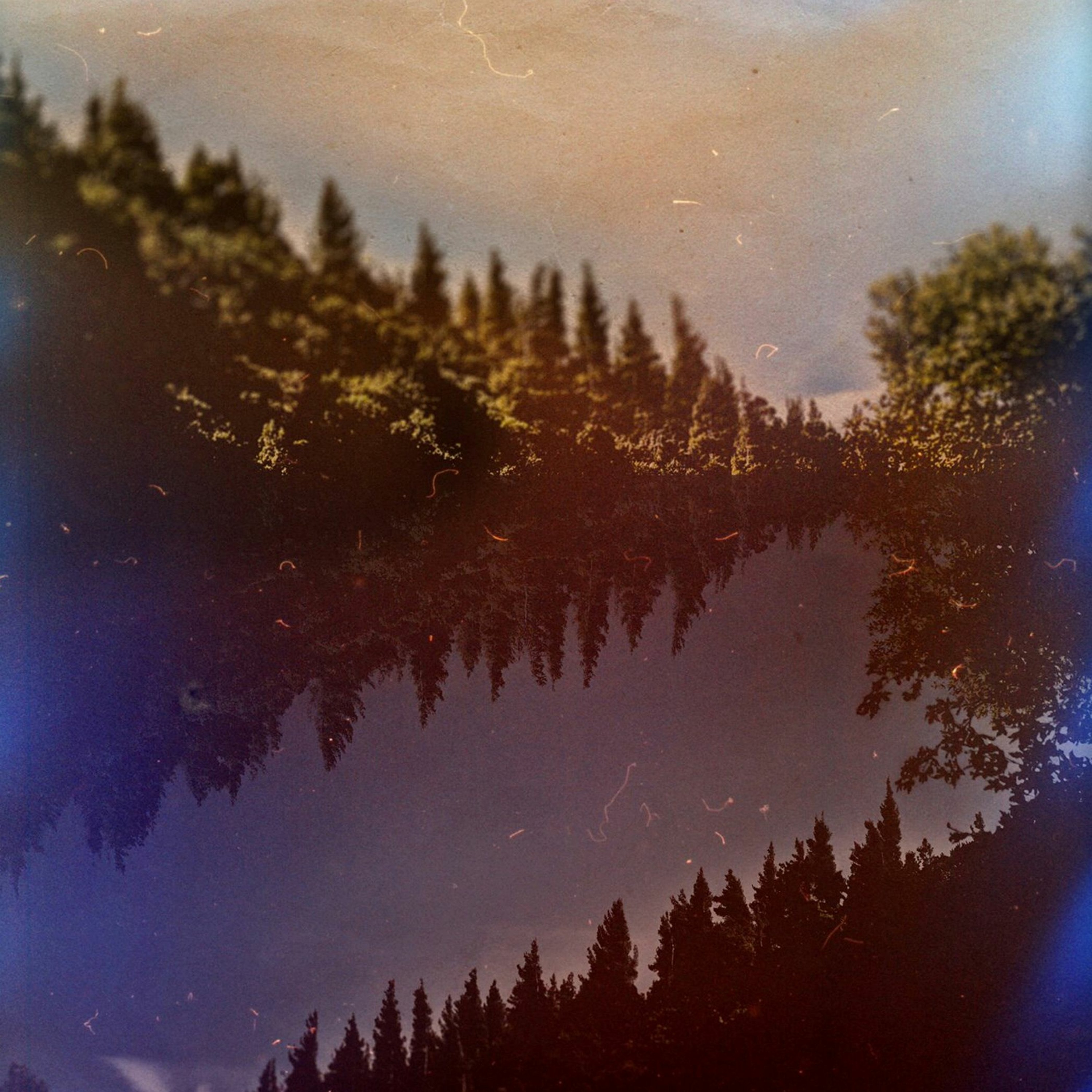 Vlimmer - Leben episode artwork