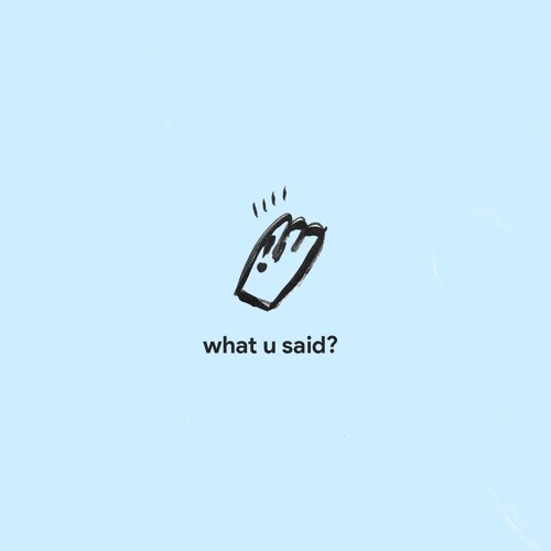 what you said (ft.black mayo)