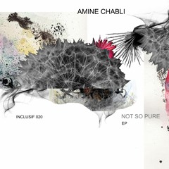 PREMIERE: Amine Chabli - Not So Pure (Original Mix) [inclusif]