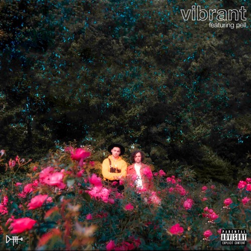 Vibrant (feat. Pell)