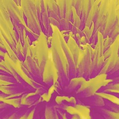 Hands From Below (ft. Christian Campbell)