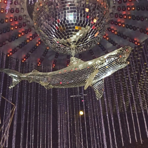 Christian @ Do Not Sit (Miami, October 2018)
