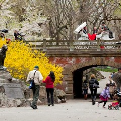 Niños jugando en el parque México