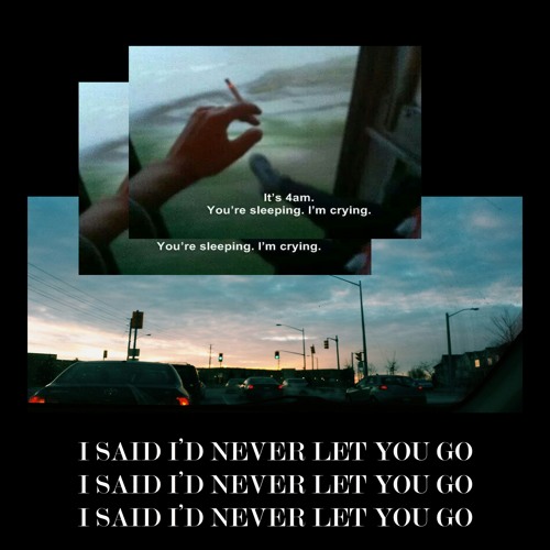 i said i'd never let you go (ft. plants and planets)