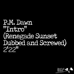 PM Dawn - Intro (Renegade Sunset Dubbed and Screwed)