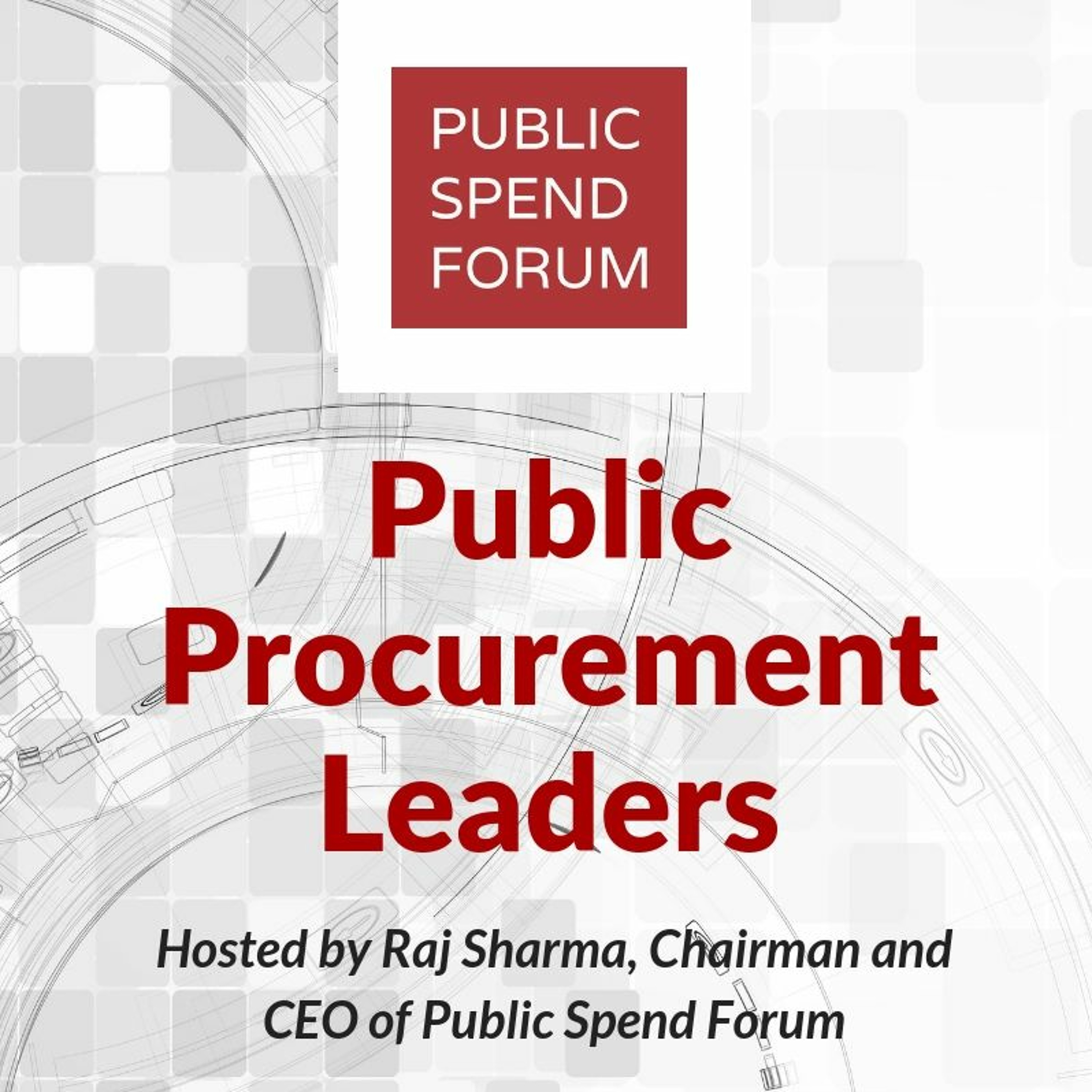 The Public Procurement Leaders Podcast With Tania Ghossein