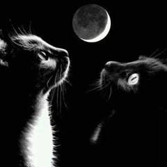 Guzen Ft. Misterios - OJOS DEL SUELO