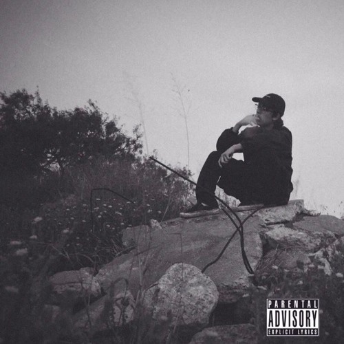 I HATE ME MORE prod. hool