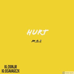 Dsavage2x ft Zmoney "hurt" (prod by.whokares)