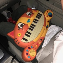 me playing let it be on this cat
