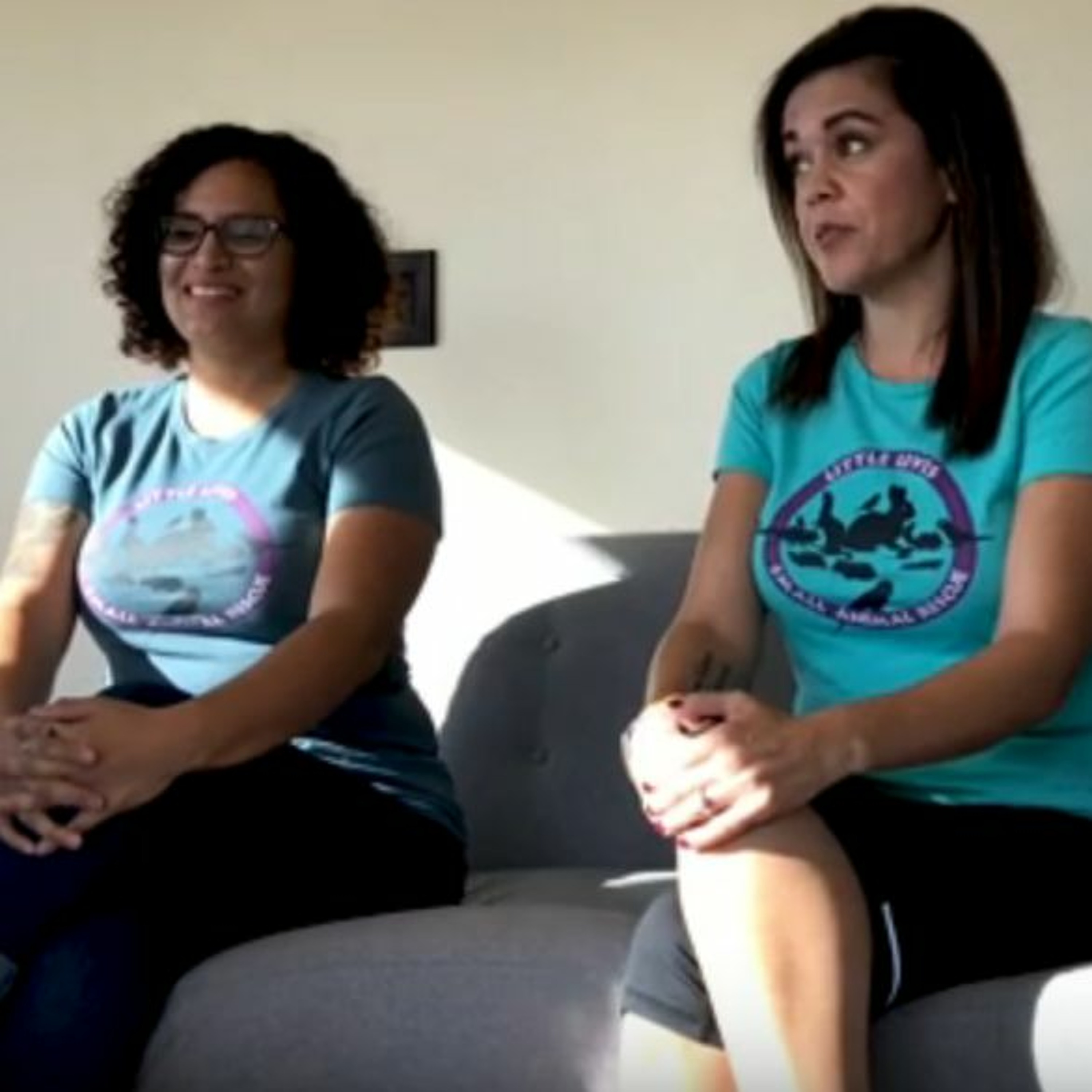 Our Donation To Little Lives Small Animal Rescue