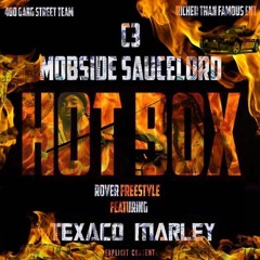 Hot Box(Rover Freestyle) f. C3 Mobside