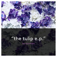 PREMIERE : Acumen  - Pistil (Origial Mix) [Selador]