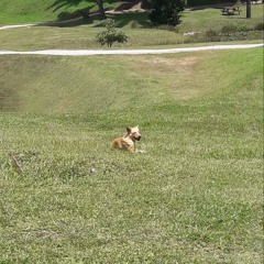 I'm All Ears (Choi Youngjae, Park Jimin) English cover